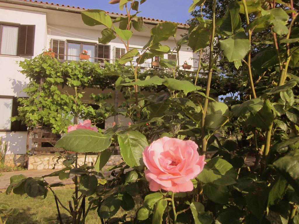 Iva Apartment Rovinjsko Selo